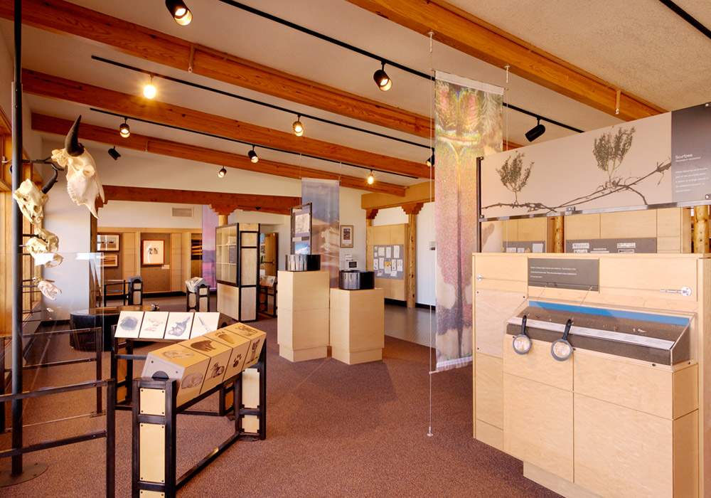 Great Sand Dunes Visitor Center