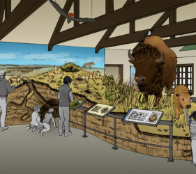 Sketch of diorama with bison